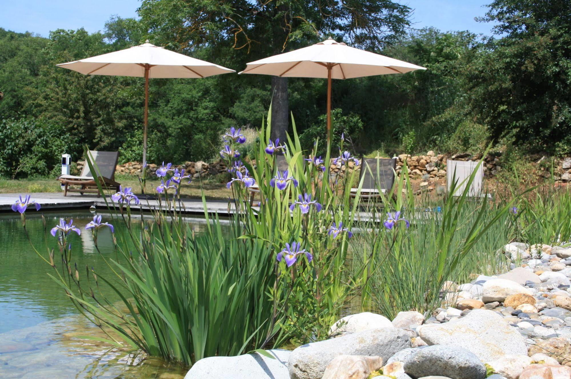 Le Hameau Du Quercy Bed & Breakfast Frontenac  Exterior photo